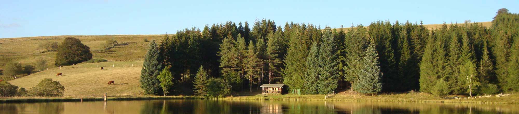 lac volcan auvergne lac des estives