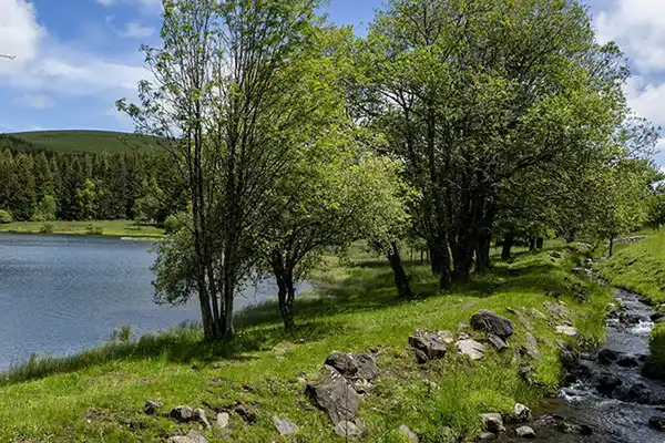 lac peche mouche lac Cantal