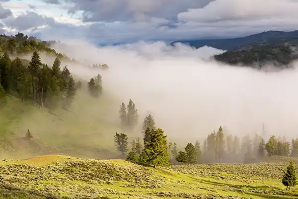 paysage Cantal volcans Auvergne