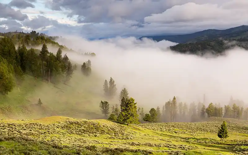 Paysage Cantal Natura 2000